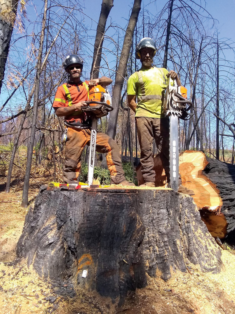 Tree Stump Removal